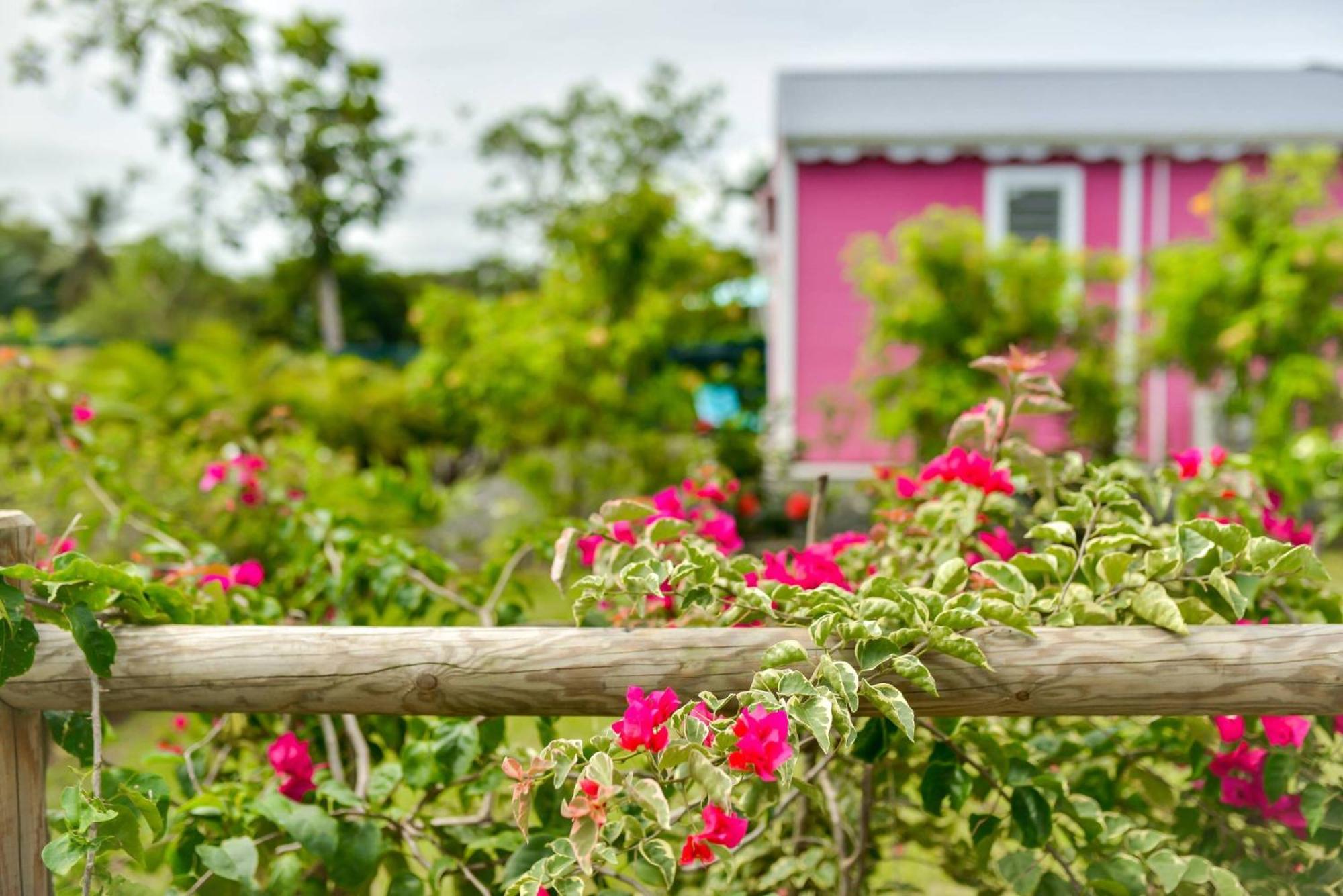 Les Jardins De Chantilly -Bungalows 4 Etoiles Avec Jardins Et Piscines Privees Baie-Mahault Kamer foto